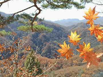 私人珍所卖打胎药宇瞳光学：公司管理层持续看好公司行业及市场前景
